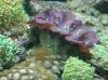 P4150005_425X318.jpg