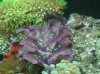 P4150008_425X318.jpg