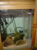 refugium.jpg