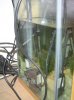 sump1.jpg