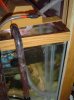 sump2.jpg