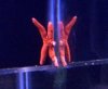 stumpythestarfish.jpg