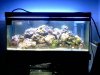 75g_finalsetup.JPG