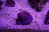 106B2140.jpg