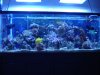 DSC02460.jpg