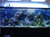DSC02465.jpg