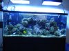 DSC02468.jpg