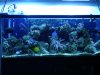 DSC02478.jpg