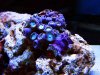 edit IMG_7896.jpg