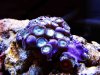 edit IMG_7926.jpg