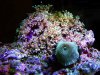edit IMG_7953.jpg