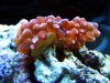 edit IMG_7964.jpg