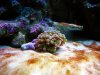 edit IMG_8037.jpg