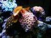 edit IMG_8168.jpg
