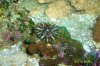 100_1748.JPG