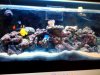 tank shot6.jpg