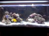 Tank shot16.jpg
