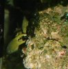 Dsc00222med.jpg