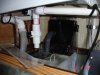 remora in sump 3.jpg