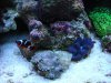 DSC00159.jpg
