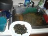 Scrubber Build 046.jpg