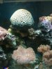 photo(2).jpg