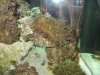 IMG_3572.jpg