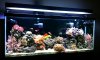 fts.jpg