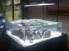 IMG00074-20100428-1811.jpg