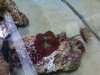 IMG00091-20100513-0949.jpg