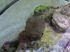 IMG00092-20100513-0950.jpg