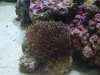 IMG00094-20100513-0950.jpg