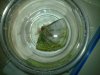 20100522_018.jpg