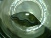 20100522_019.jpg