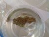 20100522_022.jpg
