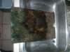 90g1 012.jpg