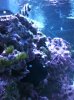 fish2.jpg
