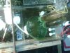 IMG00213.jpg