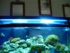 DSCN3589.JPG
