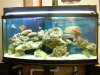 DSCN3560.JPG