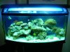 DSCN3587.JPG