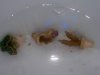 100_2658.jpg