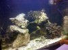 IMG_20100905_194302.jpg
