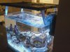 Tank.jpeg