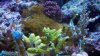 2010-09-24_18-19-03_782.jpg