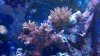 2010-09-24_18-19-20_445.jpg
