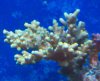 2010-09-24_18-19-43_81.jpg
