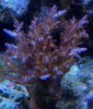 2010-09-24_18-20-09_494-1.jpg