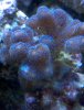 2010-09-24_18-20-21_441.jpg