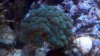 2010-09-24_18-20-51_965.jpg